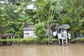 Small wooden handmade house on the Amazon, shoreline vegetation with palm trees and ladder and footbridge to the water Royalty Free Stock Photo