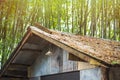 Small house in bamboo forest.Thailand Royalty Free Stock Photo