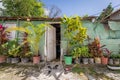 Small House Built of Calamine and many Flowerpots Royalty Free Stock Photo