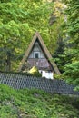 Small House in the Forest