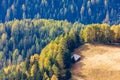 Small house by the forest Royalty Free Stock Photo