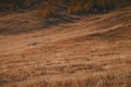 Small house hidden in the mountains. Altai landscape