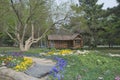 Small house on a lawn