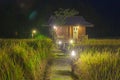 Small house locate in rice field