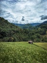 A small house in the middle of a rice field between the mountains Royalty Free Stock Photo