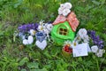 Small house with note love you, summer berries and flowers Royalty Free Stock Photo