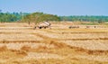 The house on the stubble field, Bago Region, Myanmar