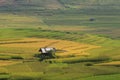 Small house on the rice field in Yanbai, Vietnam Royalty Free Stock Photo