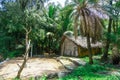 A small house in the tropical jungle of India Royalty Free Stock Photo