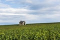 Small House Vineyards Champagne Verzy