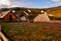 Small houses on the coast of the Prokosko lake