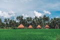 Small houses in a rice field with palm trees and clouds Royalty Free Stock Photo