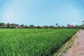 Small houses in a rice field with palm trees and clouds Royalty Free Stock Photo