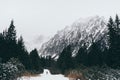 Small human figure walking towards High Tatra mountains through pine tree forest in winter, Slovakia Royalty Free Stock Photo