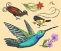 Small hummingbird, bird of paradise. daffodil and orchid with leaves and buds. Wedding flowers in spring garden. Exotic