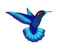 Small hummingbird. Exotic tropical colibri animal icon. Sapphire blue feathers