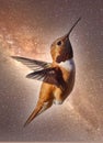 Hummingbird Frozen Flight Flying Hovering Outer Space Background