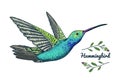 Small hummingbird. Rufous bird. Exotic tropical animal icons. Golden tailed sapphire. Use for wedding, party. engraved Royalty Free Stock Photo