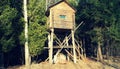 Small hunting lodge in a coniferous forest.