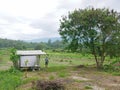 A small hut for escaping from the heat of strong sunlight, and a farmer at his young longan orchard in the North of Thailand