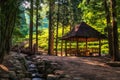 Picnic table in boseong green tea farm