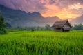 A small hut in the middle of a green field Royalty Free Stock Photo