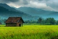 A small hut in the middle of a green field Royalty Free Stock Photo