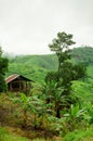 Small hut on mountain, Thailand Royalty Free Stock Photo