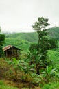 Small hut in mountain, Thailand Royalty Free Stock Photo