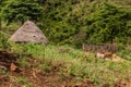 Small hut near Arba Minch, Ethiop Royalty Free Stock Photo