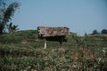 a small hut for the rest of the garden farmer Royalty Free Stock Photo