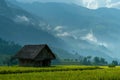 A small hut sits in the middle of a green field Royalty Free Stock Photo