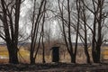 Small hut between trees