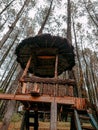 A small hut in the woods where you can relax with your family or partner