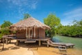 Small huts in mangrove forest in Thailand