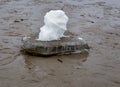 A small ice floe with a bizarre snow figure.