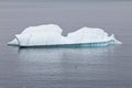 Small iceberg with gull in front, Avalon Peninsula Royalty Free Stock Photo