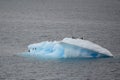 Small turquoise iceberg with resting Adelie penguins in Weddeel Sea, Antarctica