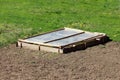 Small improvised raised garden bed box made from old wooden boards filled with fresh Lettuce or Lactuca sativa covered with nylon Royalty Free Stock Photo