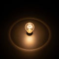 A small incandescent light bulb illuminated placed on a dark Royalty Free Stock Photo