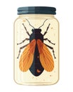 Small insect in bottle jar