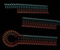 Small interfering RNA or siRNA or short interfering RNA or silencing RNA