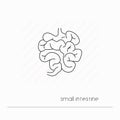 Small intestine icon isolated. Single thin line symbol of digestion system.