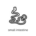 Small Intestine icon. Trendy modern flat linear vector Small Int