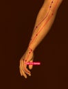 Acupuncture Point SI2 Qiangu, 3D Illustration, Brown Background