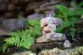 Small Inukshuk, rock sculpture, on the moss with green leaves on the background Royalty Free Stock Photo