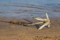 A small iron anchor is in the sand on the beach by the sea Royalty Free Stock Photo