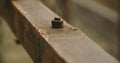 Small iron made screws isolated object photo