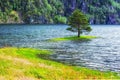 Small island with alone tree Royalty Free Stock Photo