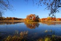 Small island with autumn trees